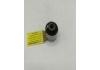 Engine Mount:54560-1HJ0A