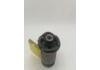 Engine Mount:52088425