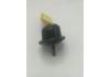 Lagerung, Motor Engine Mount:48304-35120